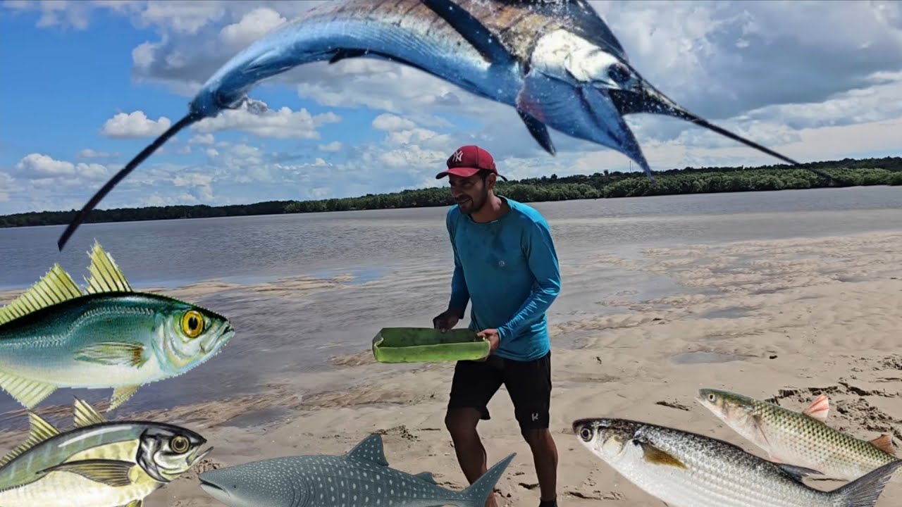 NUNCA VI TANTOS PEIXES ASSIM NA TARRAFA. LAÇANDO CARDUMES.