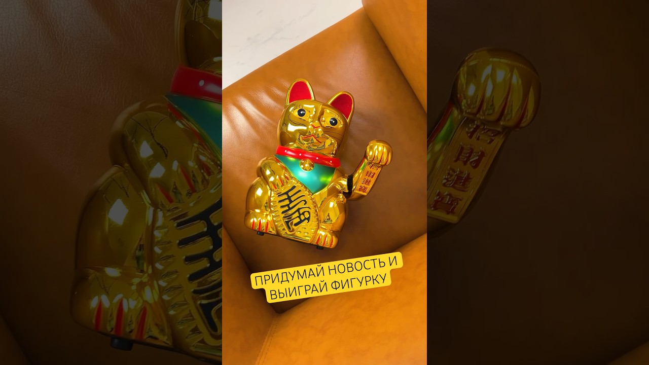 Ты уже посмотрел новый выпуск «Кошачьего Взгляда»? #котики #новостиокотах