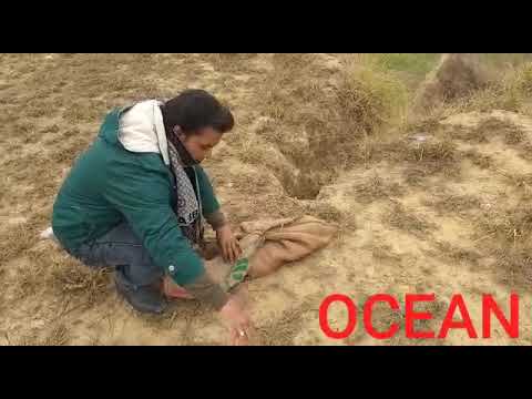 PYTHON RESCUE & REHABILITATION