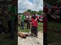 महिला नर्स ने भिक्षुओं को बचाने के लिए तोड़ी परंपरा [Monks Killed at a Procession in Thailand]