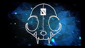 In Spite of Madness - Predisposed (Official Lyric Video)