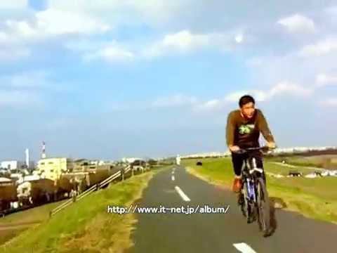 江戸川のサイクリングコース