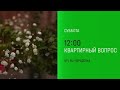 Анонс, Квартирный вопрос, сегодня в 12:00 на НТВ, 2026