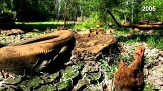 Toxic Legacy of Ford Motor Company (Part 1 of 3))