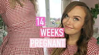 14 WEEKS PREGNANT - SYMPTOMS, GENDER SCAN BOOKED & 14 WEEK BUMP