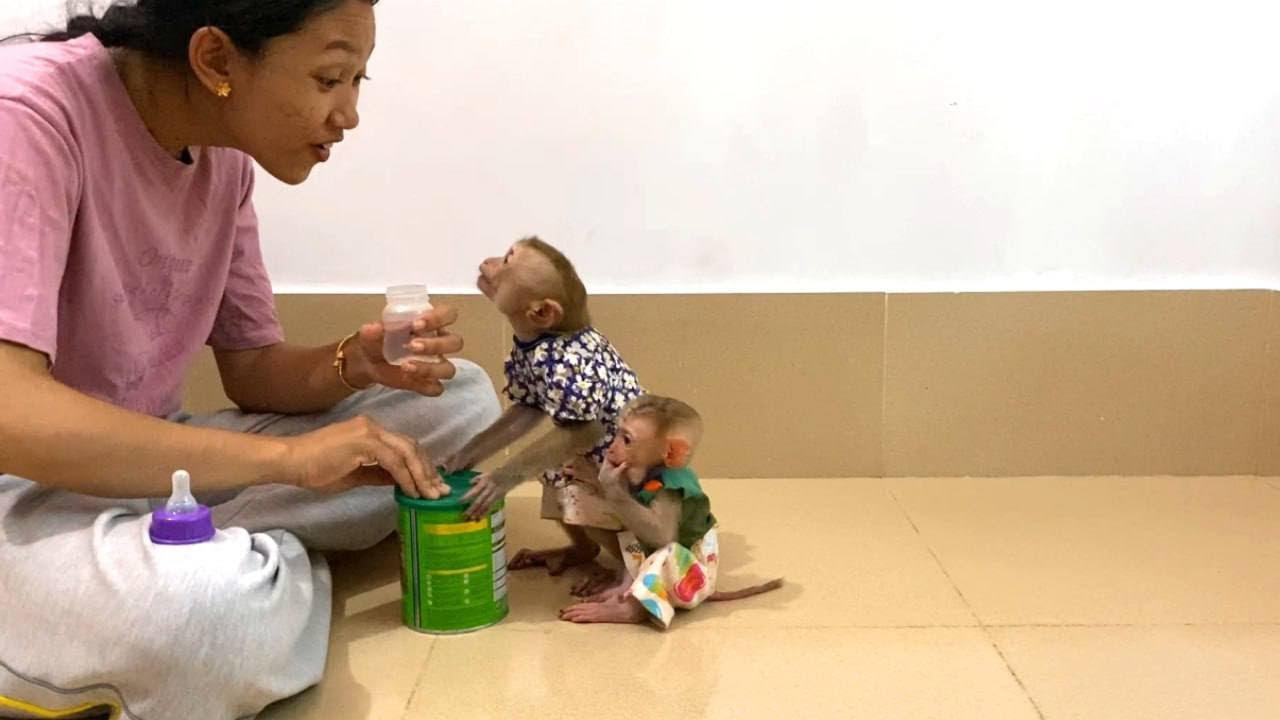 Jueur Most Jealously Talkinq & Talkinq None Stopp For Mom Give Her Milk First