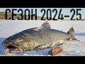 Зимний сезон 2024-2025: рекордный марафон 🚗
