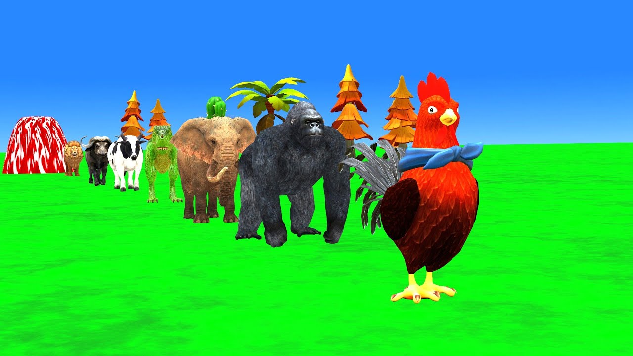 Crazy Hen Gorilla Hippopotamus Cow Lion Buffalo Elephant Crossing fountain 3danimals funny Video 