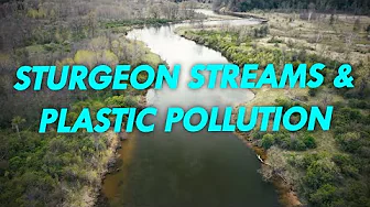 Sturgeon Streams and Plastic Pollution | Great Lakes Now | Full Episode
