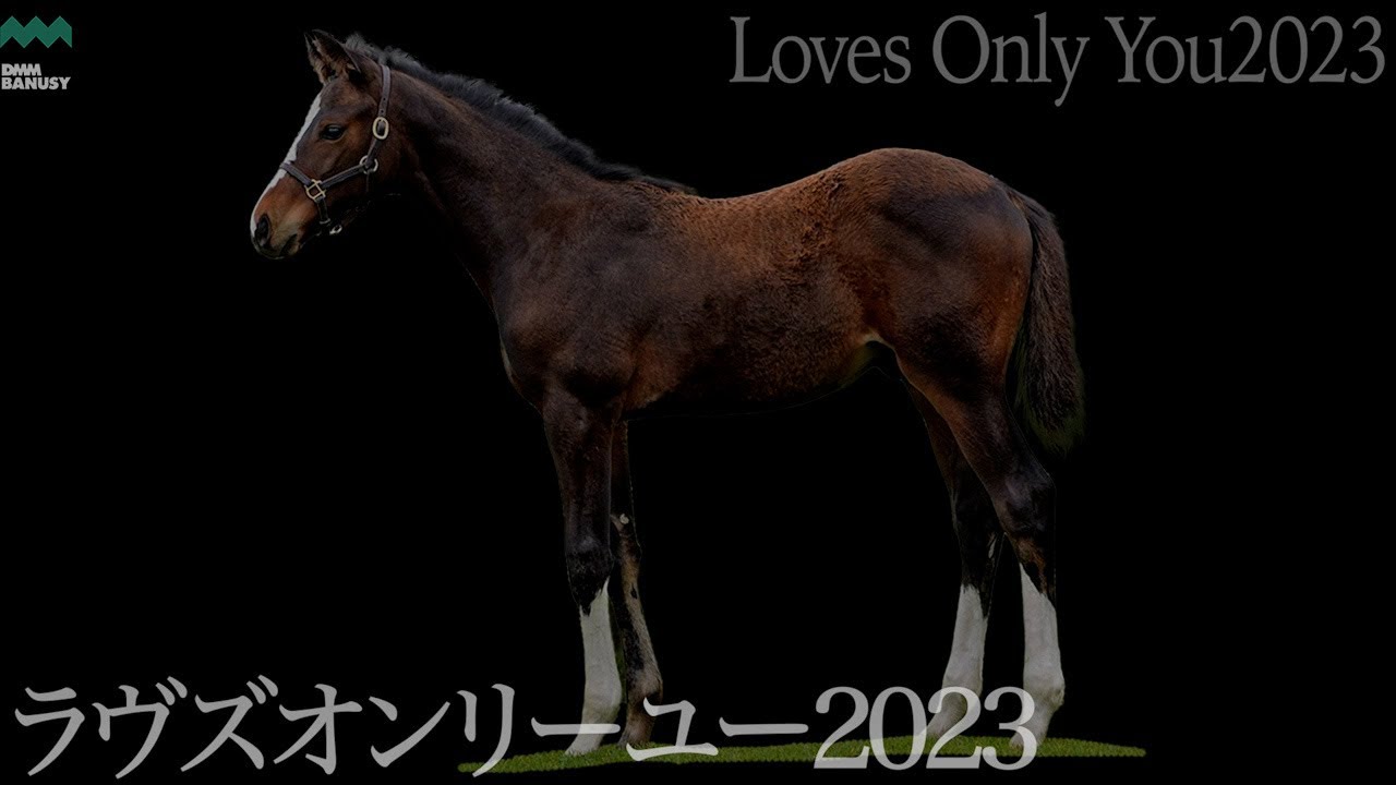 ラヴズオンリーユー2023】矢作芳人調教師インタビュー - YouTube
