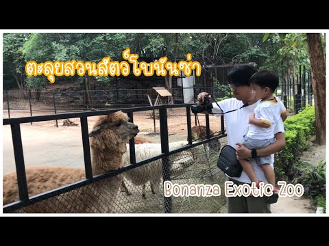 ตะลุยสวนสัตว์โบนันซ่า เขาใหญ่ | Bonanza Exotic Zoo | ตามใจแม่ EP.4