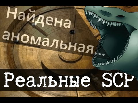Реальные SCP - 1 (SCP-169, SCP-261, SCP-227 и Маленький ублюдок)