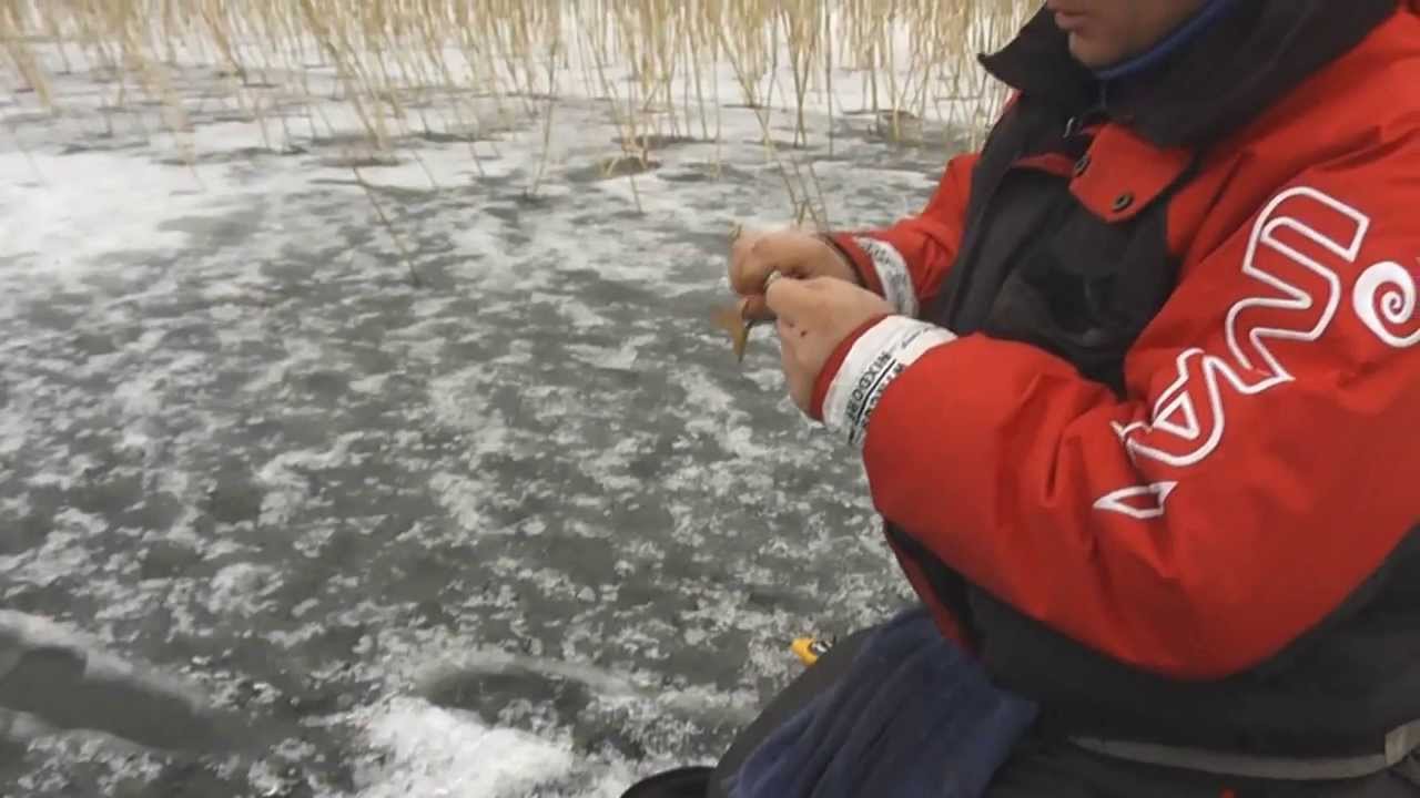 Bałałajka i mormyszka nie tylko dla początkujących.