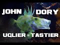 10 john dory facts  ugly but tasty  animal a day j week