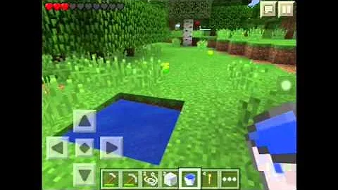 The Quest #4  Founding a farm