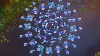 Rio Birds Dance Hookah Bar Mashup