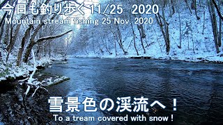 今日も釣り歩く( 11/25 2020)  雪景色の渓流へ！  (Mountain stream fishing 25 Nov. 2020)