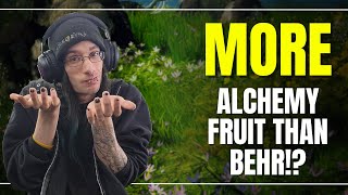 Is Kamaslyvia Flower Gathering Better For Alchemy Fruit in Black Desert Online
