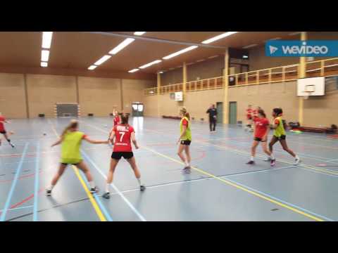 Dimitrov slaat een fantastische backhandslag in Acapulco 2016