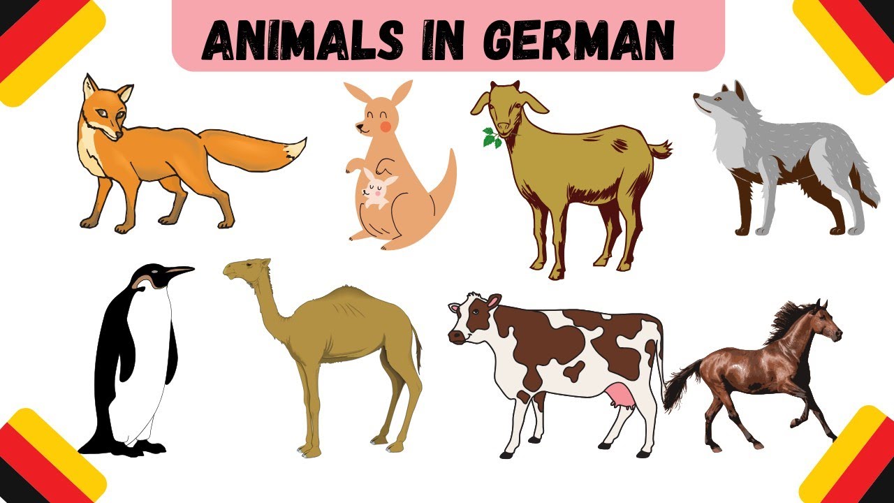 🇩🇪Animals Names In German Language 🇩🇪Tiernamen in deutscher Sprache 