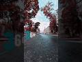 #insta360x4 #insta360x5 video idea 360 Moscow Особняк Н.Д. Стахеева  #shorts #360video