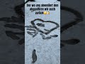 Denn wo uns abonniert den abonnieren wir zurück
