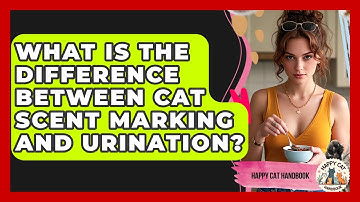 What Is The Difference Between Cat Scent Marking And Urination? - Happy Cat Handbook