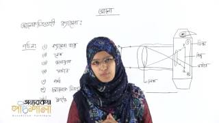 Yashirin kamera qaynotaning kelini bilan jinsiy aloqa qilayotganini tasvirga oldi.