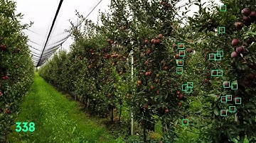 skycrops - processing data (RGB, thermal and multispectral view)