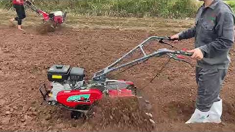 Máy lên luống Tiến Linh TL655MS |  làm thực tế máy 655ms tại Gia Lai | động cơ GT600|  0964.318.695