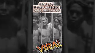 Rahasia Bambu Runcing Senjata Rakyat Yang Menakuti Pasukan Penjajah