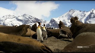 Coasts | Planet Earth: Blue Planet II | Saturdays @ 9/8c on BBC America