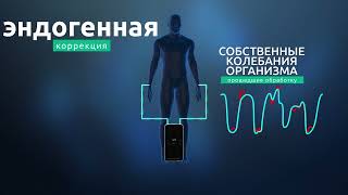 Презентация прибора нового поколения Life Balance Contact