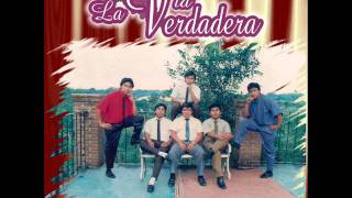 La vid verdadera la divina luz