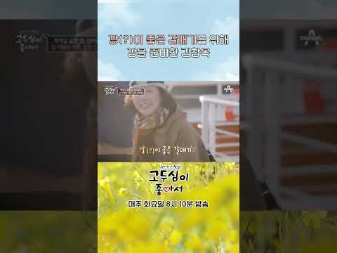 신시모도로 가는길 깡있는(?) 갈매기를 만나다! #shorts #고두심이좋아서 #신시모도