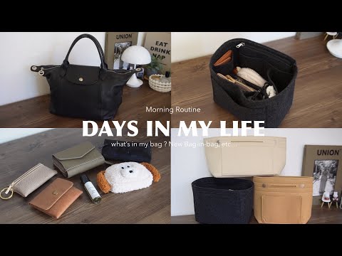朝活ルーティン⌇新しいバッグインバッグ👜バッグの中身を整理する⌇ロンシャン⌇購入品9点⌇睡眠について😪冬の乾燥対策🧴手帳アレンジ, キッチン, クローゼット整理etc…
