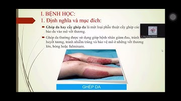 NGOẠI KHOA 25  -  CSBN GHÉP DA.   P1