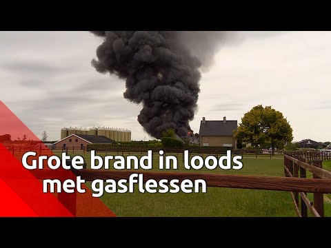 Video: Aanpassen aan autorijden aan de linkerkant van de weg