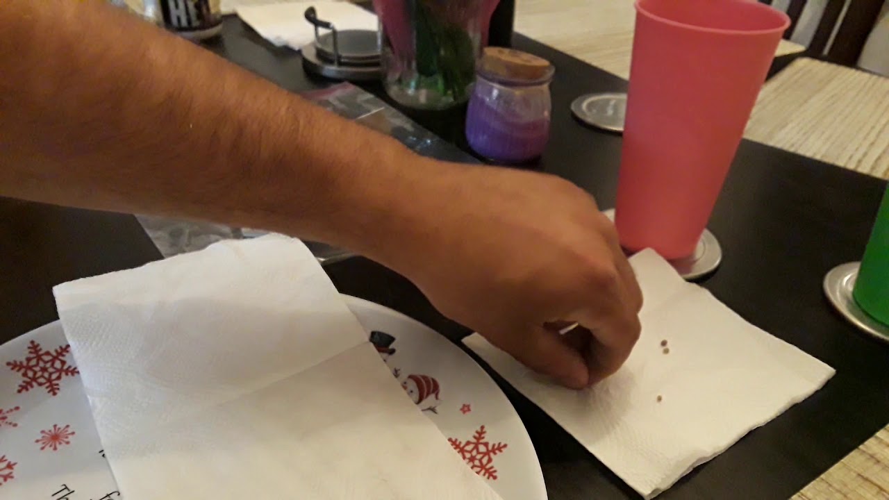 How to germinate cannabis seeds