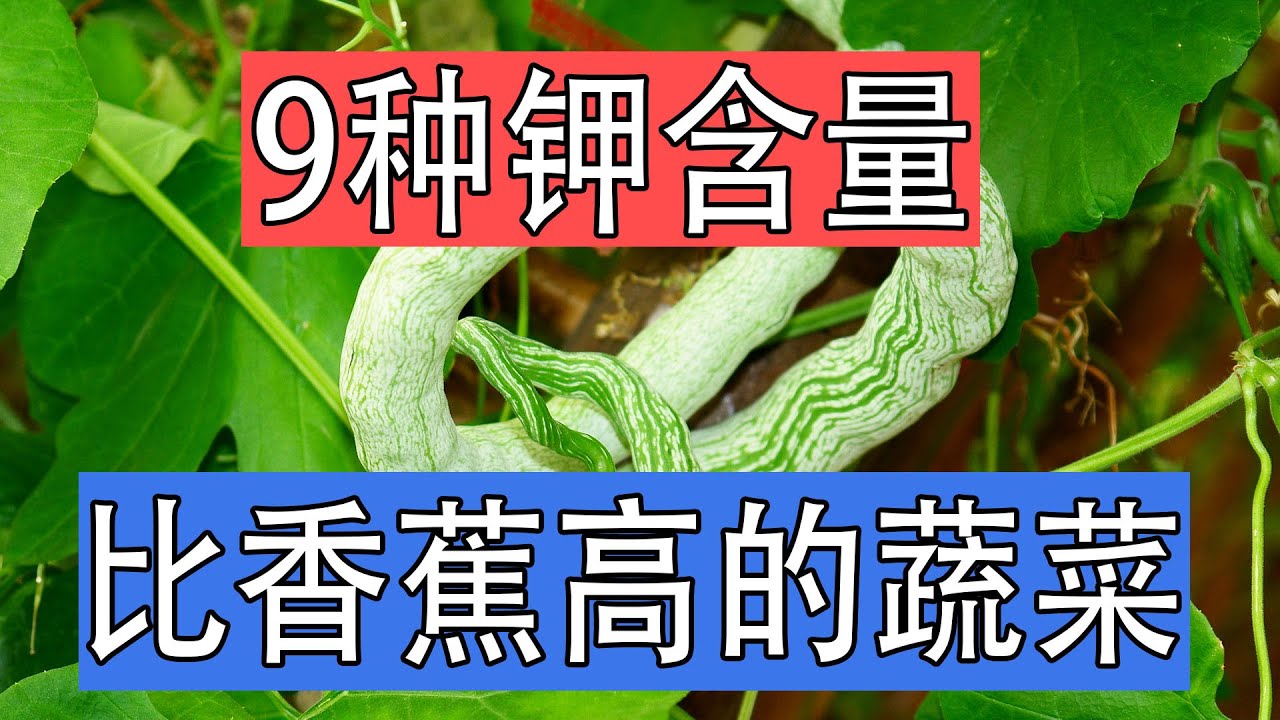 9种不打农药的绿色蔬菜，钾元素高过香蕉，夏季流汗没精神，补钾能让人精神饱满充满活力