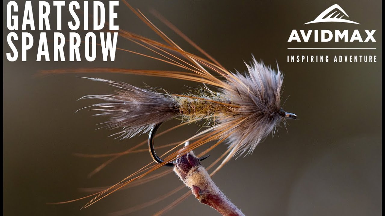 How to tie The Gartside Sparrow | AvidMax Fly Tying Tuesday Tutorials