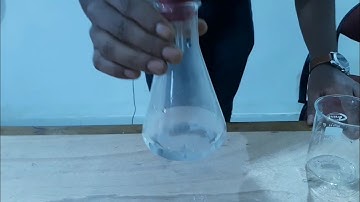 10th Science, Activity 1.3