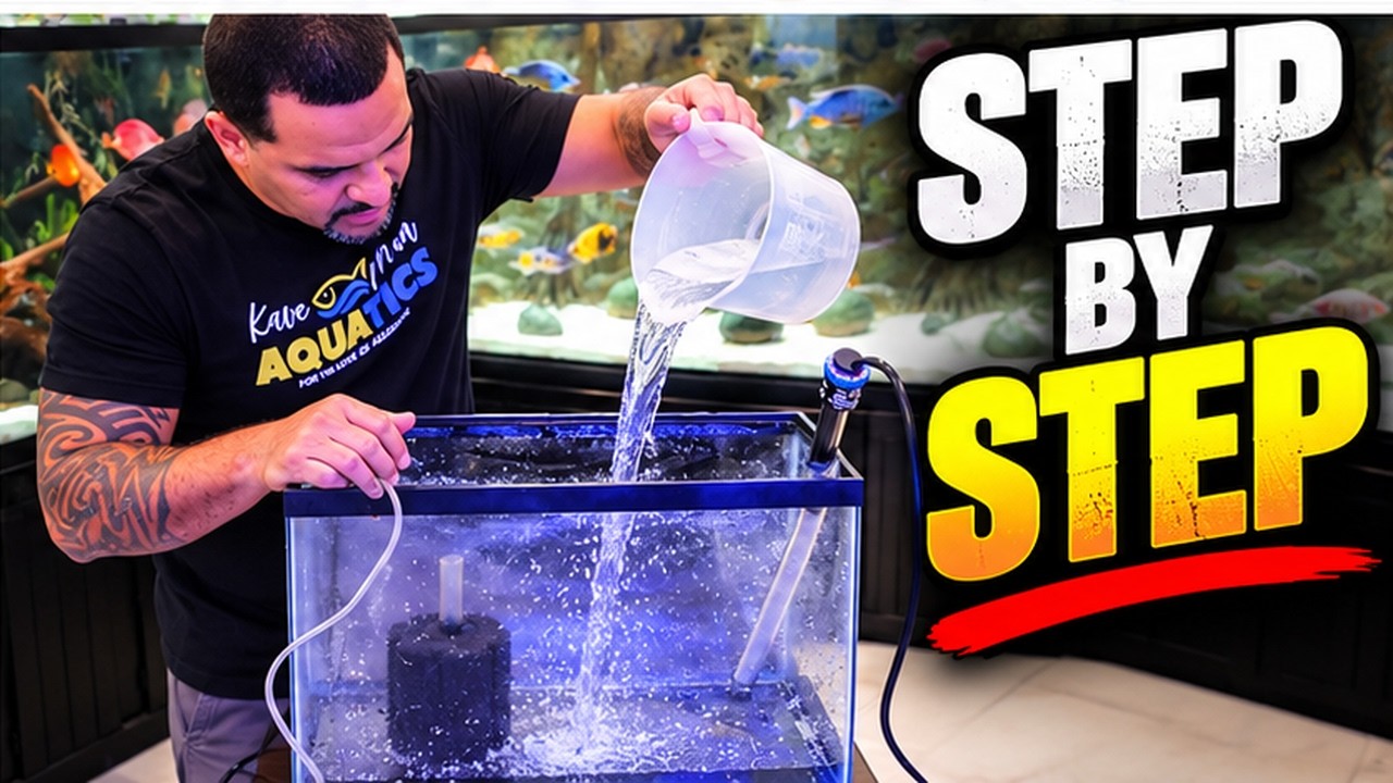 Can You Save a Sick Fish? (Hospital Tank Tutorial +Meds)