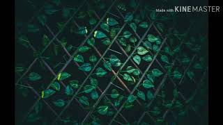 Dj Zedix Modjeet X- Beat Life