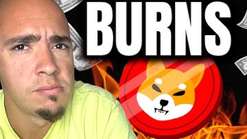 SHIBA INU Burns on Shibarium. Major SHIBA INU COIN Burns Coming?