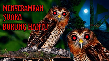 SUARA BURUNG HANTU PALING SERAM || cocok buat anak kecil sudah tidur