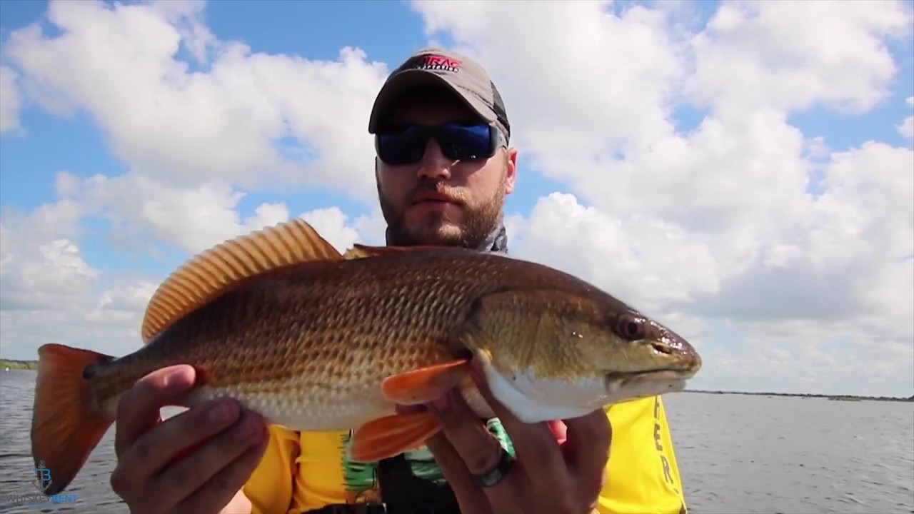 Red Fish Limit How to catch a limit of Redfish in the Louisiana marsh - YouTube