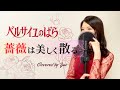 薔薇は美しく散る/鈴木宏子【ベルサイユのばら主題歌】カバー/歌詞付き1979年 The Rose of Versailles /The rose perishes beautifully by Yui