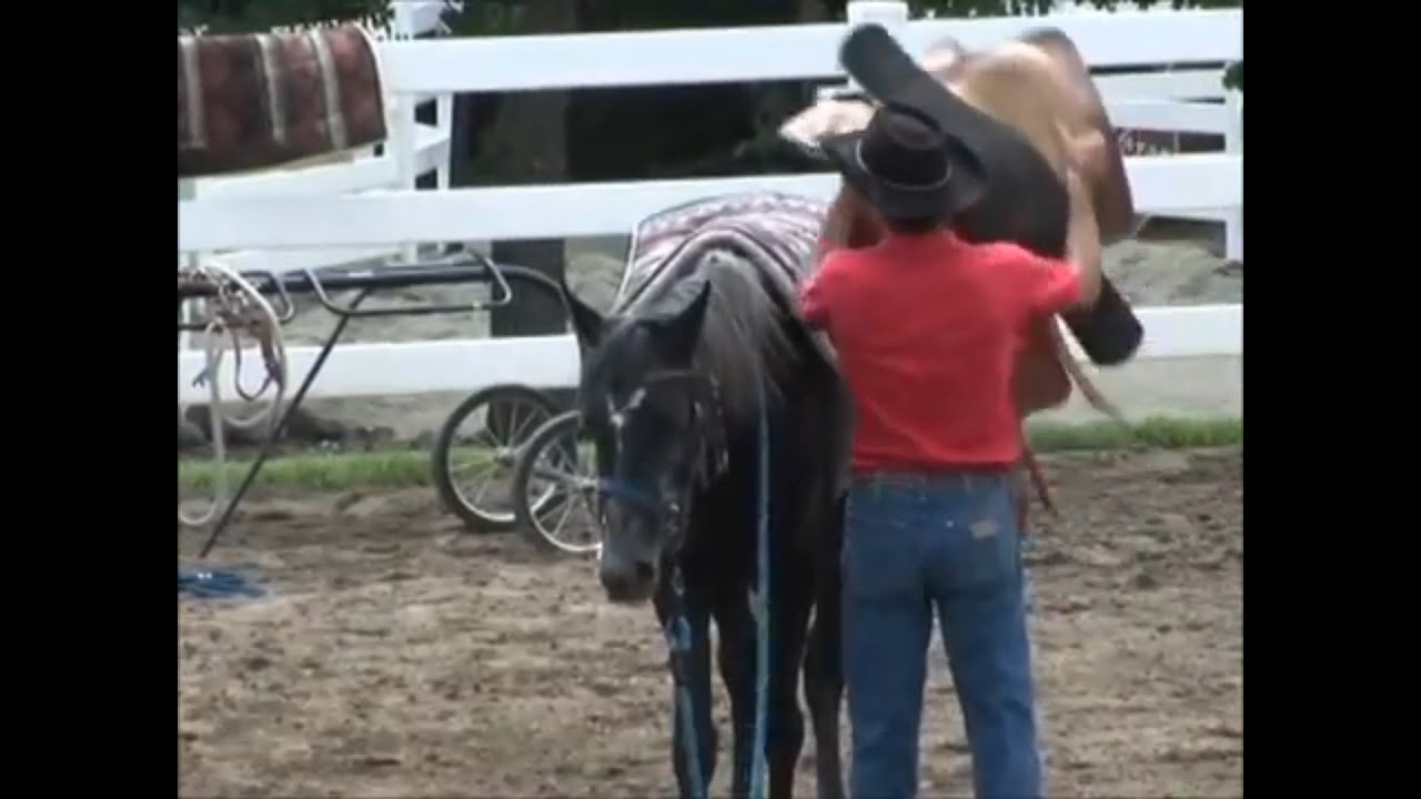 First Saddling On The Unbroke Horse, Mike Hughes, Auburn California