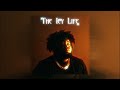 (FREE 10+) Rod Wave Loop Kit - The Icy Life (Rod Wave, Toosii, NBA Youngboy, Yungeen Ace, etc.)